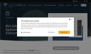 Preview of the BVLGARI Case Study
