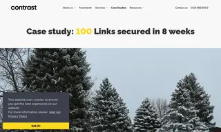 Preview of the Christmastrees.co.uk Case Study