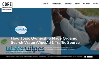 Preview of the Waterwipes Case Study