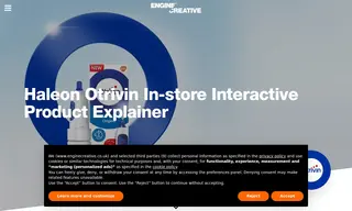 Preview of the Haleon Case Study