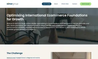 Preview of the Abacus & Hunt Case Study