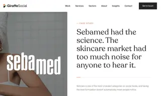 Preview of the Sebamed Case Study