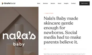 Preview of the Nala's Baby Case Study