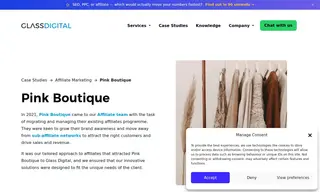 Preview of the Pink Boutique Case Study