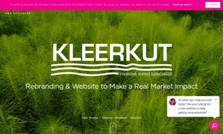 Preview of the Kleerkut Case Study