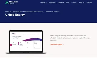 Preview of the United Energy Case Study