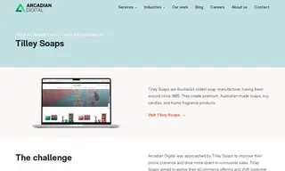 Preview of the Tilley Soaps Case Study