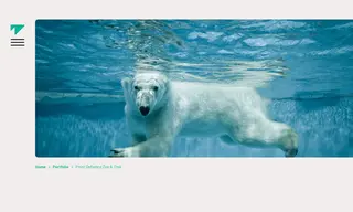 Preview of the Point Defiance Zoo & Aquarium Case Study