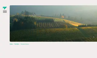 Preview of the Domaine Serene Case Study
