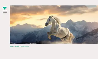 Preview of the Denver Broncos Case Study