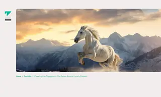 Preview of the Denver Broncos Case Study