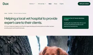 Preview of the St Francis Veterinary Hospital Case Study