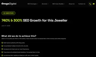 Preview of the Larsen Jewellery Case Study