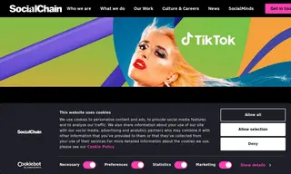 Preview of the TikTok Case Study
