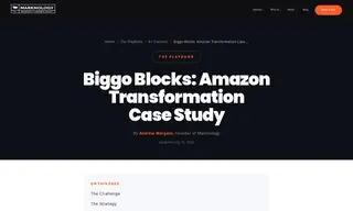 Preview of the Biggo Blocks Case Study