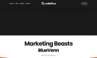 Preview of the BlueVenn Case Study