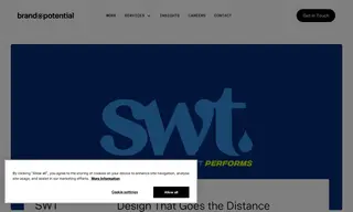 Preview of the SWT Skincare Case Study