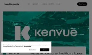 Preview of the Kenvue Case Study