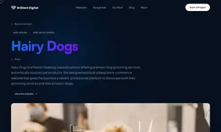 Preview of the Hairy Dogs Case Study
