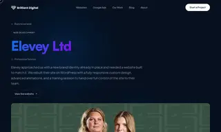 Preview of the Elevey Ltd Case Study