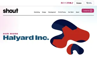 Preview of the Halyard Inc Case Study