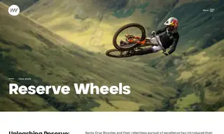 Preview of the Santa Cruz Bicycles Case Study