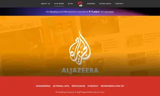 Preview of the Al Jazeera Case Study