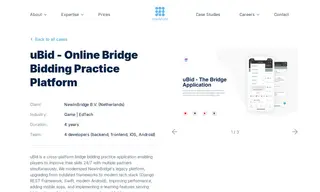 Preview of the NewInBridge B.V. Case Study