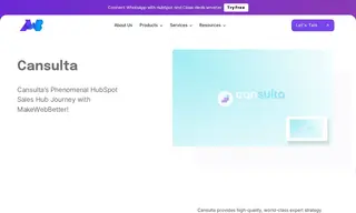 Preview of the Cansulta Case Study