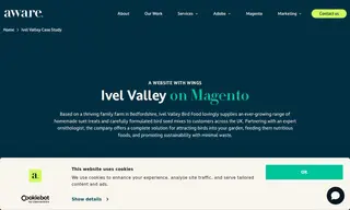Preview of the Ivel Valley Bird Food Case Study