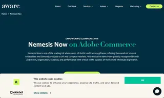 Preview of the Nemesis Now Case Study