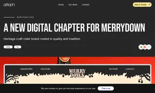 Preview of the Merrydown Case Study