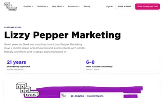 Preview of the Lizzy Pepper Marketing Case Study