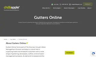 Preview of the Gutters Online Case Study