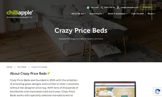 Preview of the Crazy Price Beds Case Study