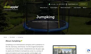 Preview of the Jumpking Case Study