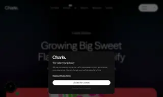 Preview of the Candy Kittens Case Study