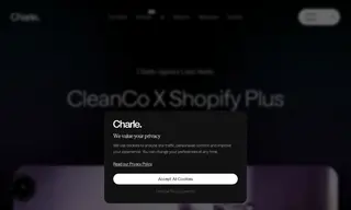 Preview of the CleanCo Case Study
