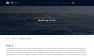 Preview of the Brompton Bicycle Case Study