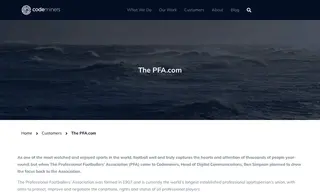 Preview of the ThePFA.com Case Study
