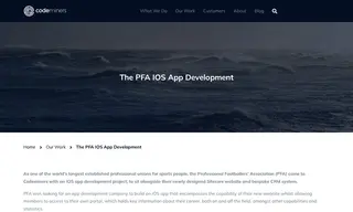 Preview of the ThePFA.com Case Study