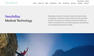 Preview of the NeedleBay Case Study