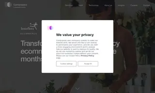 Preview of the Interflora Case Study