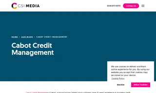 Preview of the Cabot Credit Management Case Study