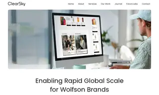 Preview of the Wolfson Brands Case Study