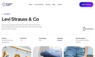 Preview of the Levi Strauss & Co. Case Study