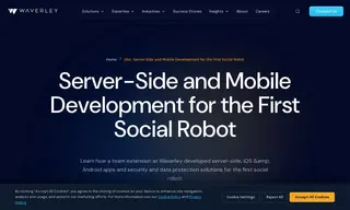 Preview of the JIBO Case Study