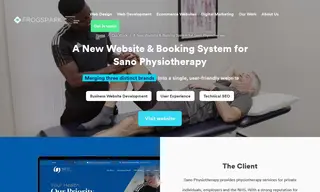 Preview of the Sano Physiotherapy Case Study