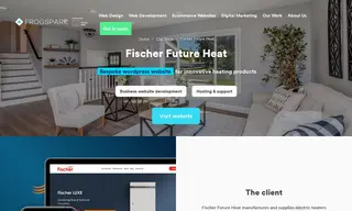 Preview of the Fischer Future Heat Case Study