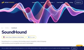 Preview of the SoundHound Inc Case Study